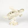 Coral Creatures - Turtle, 26cm