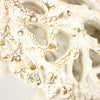 Coral Creatures - Turtle, 26cm