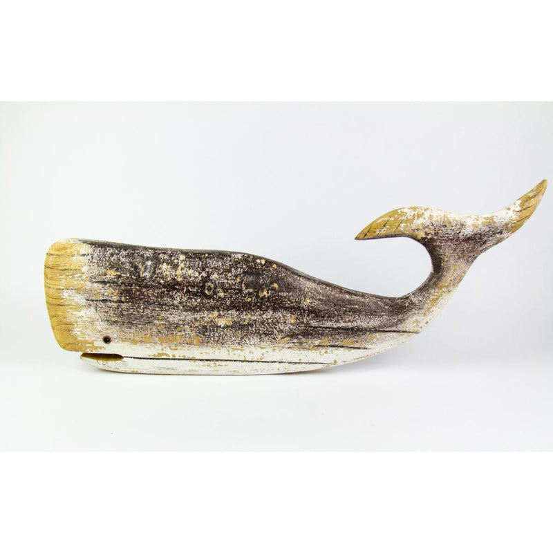 Driftwood Sperm Whale, 57cm