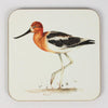 Meg Hawkins Waders Coasters, set of 4