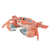 Coral Creatures - Crab, 28cm