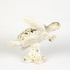 Coral Creatures - Turtle, 26cm