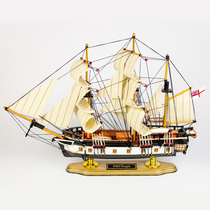 HMS Beagle Ship Model – Nauticalia