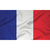 Courtesy Flags