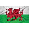 Courtesy Flags